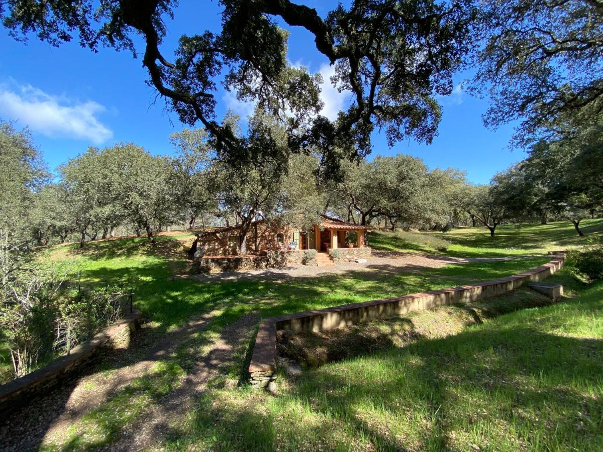 Valle Del Arroyo Casas Rurales - B&B - Solo Adultos Cortelazor 外观 照片